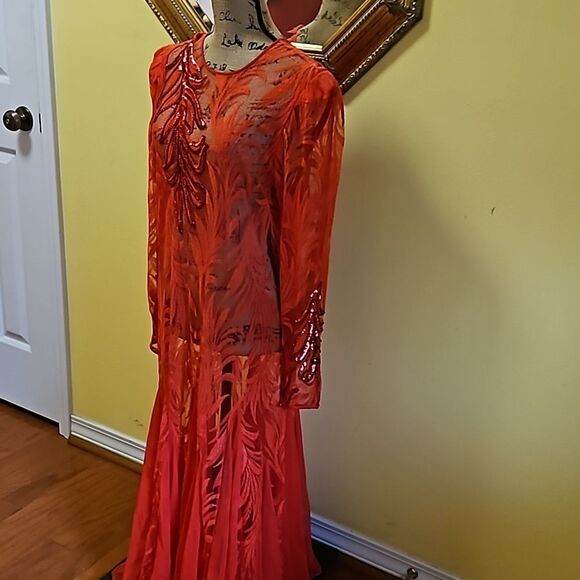 Vintage Sheer Red Lace Whimsigoth Maxi Gown size Large - Picture 3 of 12